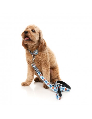 FuzzYard Ahoy There! neoprene dog lead (size L)