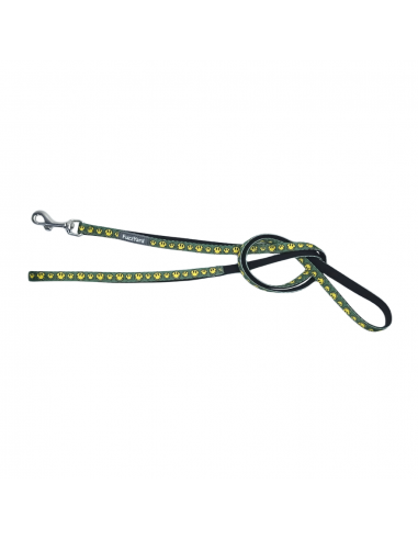 FuzzYard Biggie Smiles neoprene dog lead (size XS)