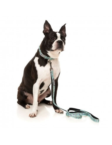 FuzzYard Dreamtime Koalas neoprene dog lead (size L)