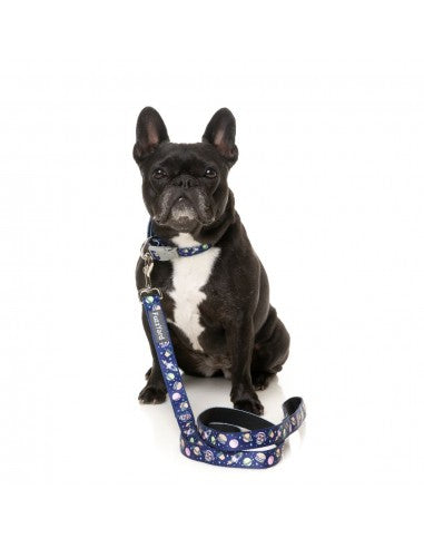 FuzzYard Pluto Pup neoprene dog lead (size L)