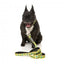 FuzzYard Sk8ter Gator neoprene dog lead (size L)
