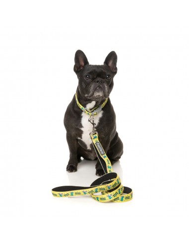 FuzzYard Sk8ter Gator neoprene dog lead (size S)