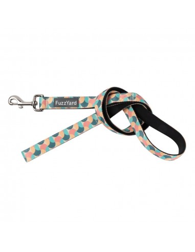 FuzzYard Carioca neoprene dog lead (size L)