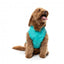 FuzzYard Evo dog raincoat with hood in teal