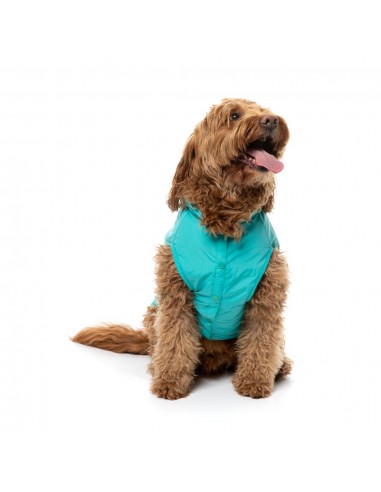 FuzzYard Evo dog raincoat with hood in teal