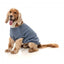 FuzzYard Allday 25 Cotton Dog Jumper in Blue