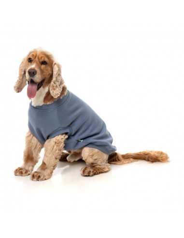 FuzzYard Allday 25 Cotton Dog Jumper in Blue