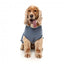 FuzzYard Allday 25 Cotton Dog Jumper in Blue