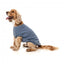 FuzzYard Allday 25 Cotton Dog Jumper in Blue