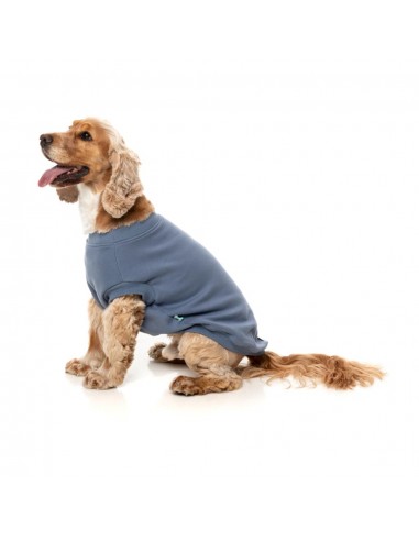 FuzzYard Allday 25 Cotton Dog Jumper in Blue