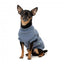 FuzzYard Allday 25 Cotton Dog Jumper in Blue