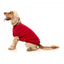 FuzzYard Allday 25 Cotton Dog Jumper in Red