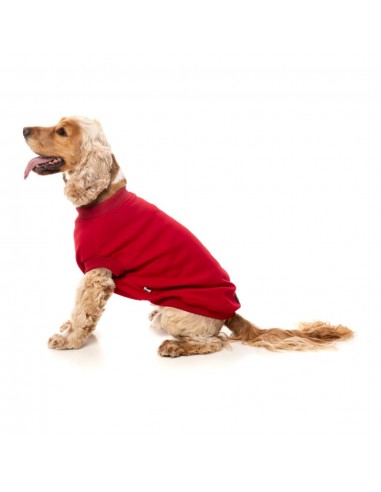 FuzzYard Allday 25 Cotton Dog Jumper in Red