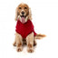 FuzzYard Allday 25 Cotton Dog Jumper in Red