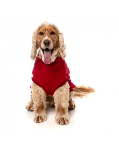 FuzzYard Allday 25 Cotton Dog Jumper in Red