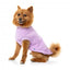 FuzzYard Allday Cotton Dog Jumper in Lilac