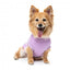 FuzzYard Allday Cotton Dog Jumper in Lilac