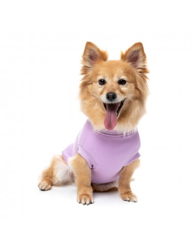FuzzYard Allday Cotton Dog Jumper in Lilac