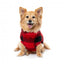 FuzzYard Checkered Teddy Dog Jumper in Red