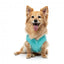 FuzzYard FuzzBear Knitted Dog Jumper, Aqua