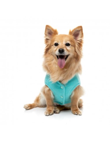 FuzzYard FuzzBear Knitted Dog Jumper, Aqua