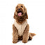 FuzzYard FuzzBear Knitted Dog Jumper, Beige