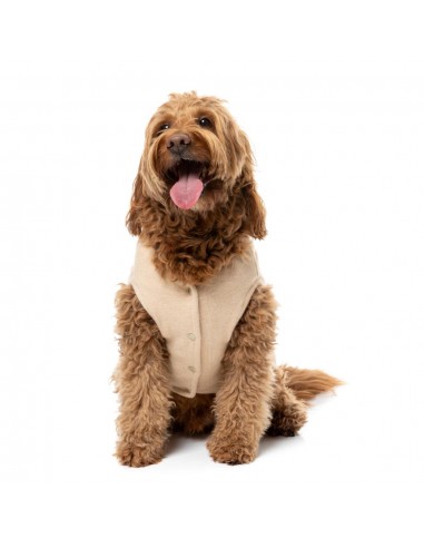 FuzzYard FuzzBear Knitted Dog Jumper, Beige