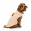 FuzzYard FuzzBear Knitted Dog Jumper, Beige