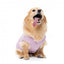 FuzzYard FuzzBear Knitted Dog Jumper, Lilac