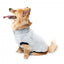 FuzzYard Frosted Teddy Plush Dog Jumper in Navy