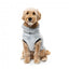 FuzzYard Frosted Teddy Plush Dog Jumper in Navy