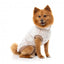 FuzzYard Frosted Teddy Plush Dog Jumper in Latte