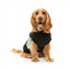 FuzzYard Track dog hoodie, black and sage (size 1)