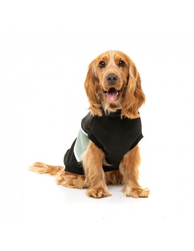 FuzzYard Track dog hoodie, black and sage (size 1)