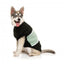 FuzzYard Track dog hoodie, black and sage (size 1)