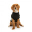 FuzzYard Track dog hoodie, black and sage (size 1)