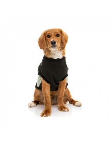 FuzzYard Track dog hoodie, black and sage (size 1)