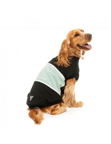 FuzzYard Track dog hoodie, black and sage (size 1)