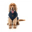 Embroidered dog jumper FuzzYard Smiley in navy