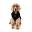 Embroidered dog jumper FuzzYard Smiley in black