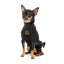 Embroidered dog jumper FuzzYard Smiley in black