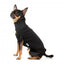 Embroidered dog jumper FuzzYard Smiley in black