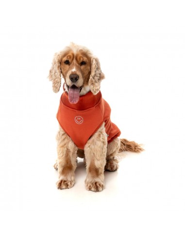 Embroidered dog jumper FuzzYard Smiley in rust