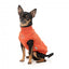 Embroidered dog jumper FuzzYard Smiley in rust