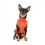 Embroidered dog jumper FuzzYard Smiley in rust