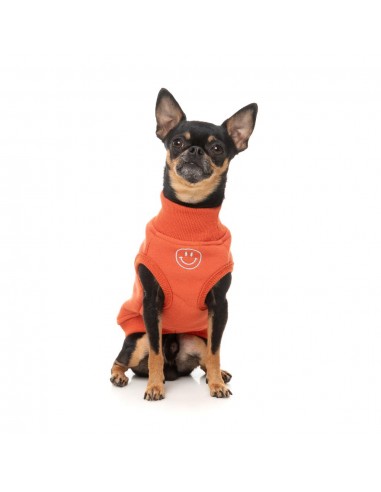 Embroidered dog jumper FuzzYard Smiley in rust