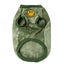 FuzzYard Smiley Tie-rus dog hoodie, green (size 1)