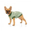 FuzzYard Smiley Tie-rus dog hoodie, green (size 1)