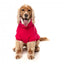 FuzzYard Stevie 25 Turtleneck Dog Jumper, Magenta