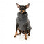 FuzzYard Turtle Teddy Dog Jumper, Charcoal